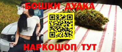 СК Новокубанск