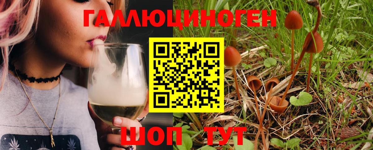 Псилоцибиновые грибы MAGIC MUSHROOMS Дятьково