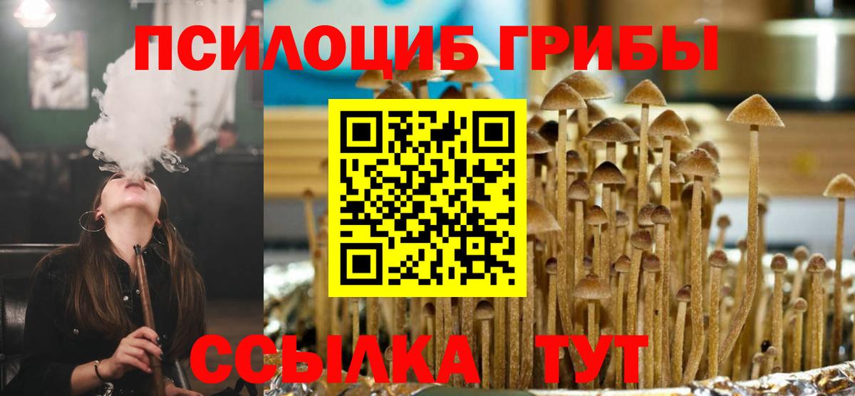 Псилоцибиновые грибы прущие грибы  Вход с VPN  Дятьково 